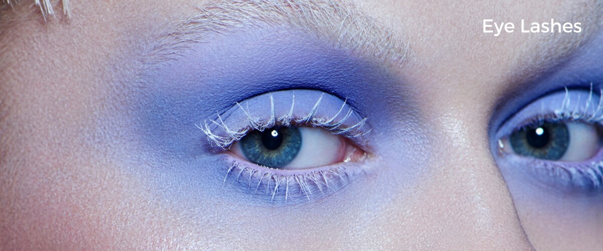 Fake Eyelashes Enhance Your Look with False Eyelashes