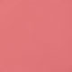 Desert Rose