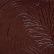 Cacao