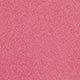 Blush Rose